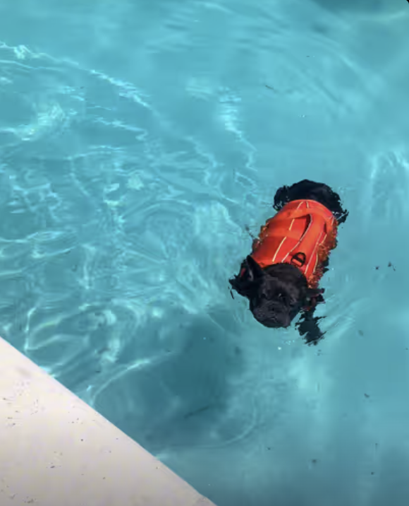 Time for little swim, it’s soooo hot !!!